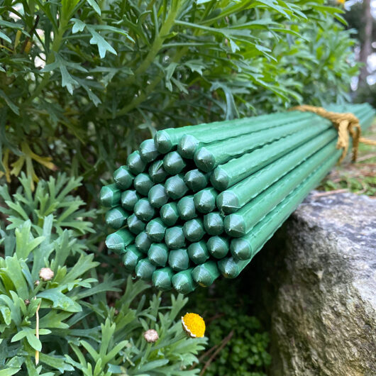 Plastic Coated Metal Garden Plant Support Sticks (60cm) - Pack of 40