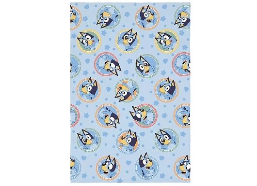 Bluey Frames Coral Fleece Blanket