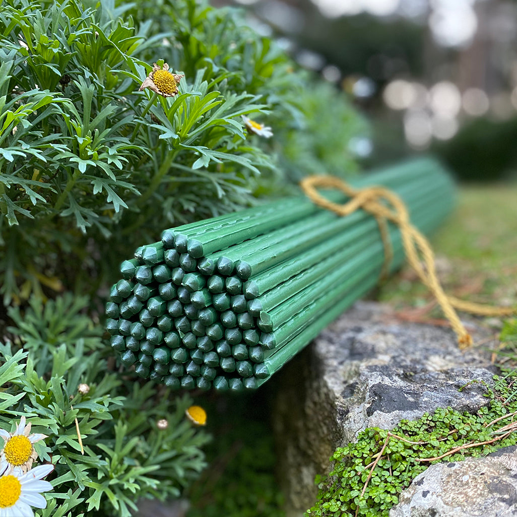 Plastic Coated Metal Garden Plant Support Sticks (80cm) - Pack of 80